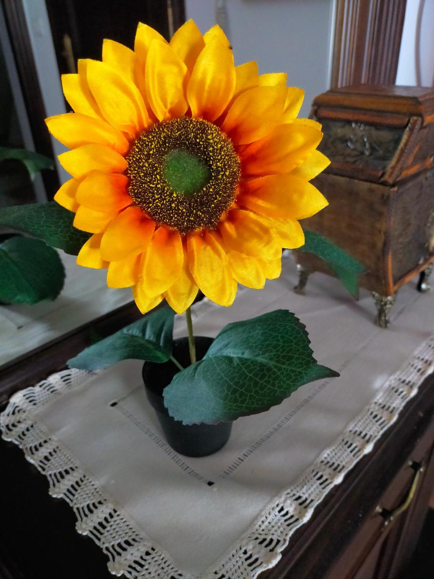 Los Girasoles Olvera Zewnętrze zdjęcie